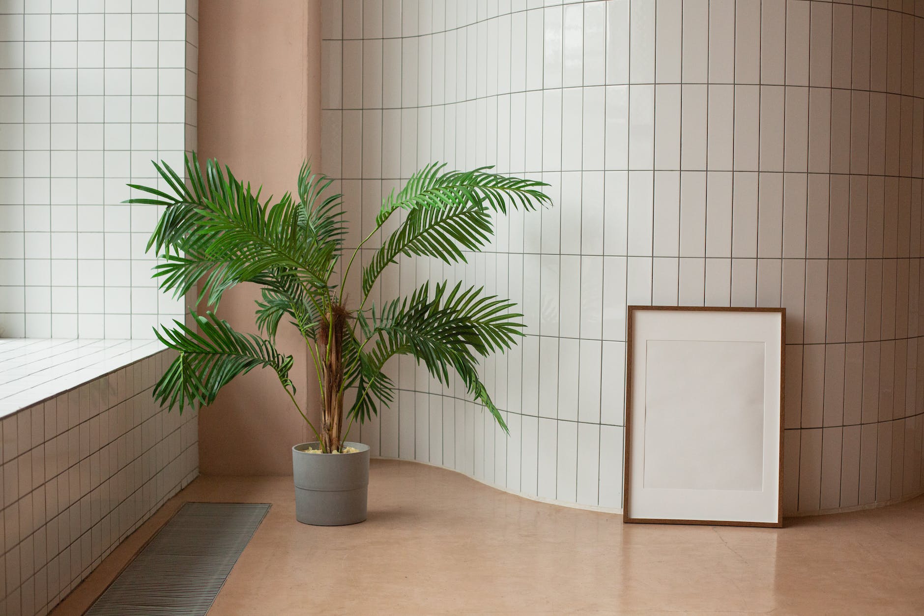 mock up poster near green plant